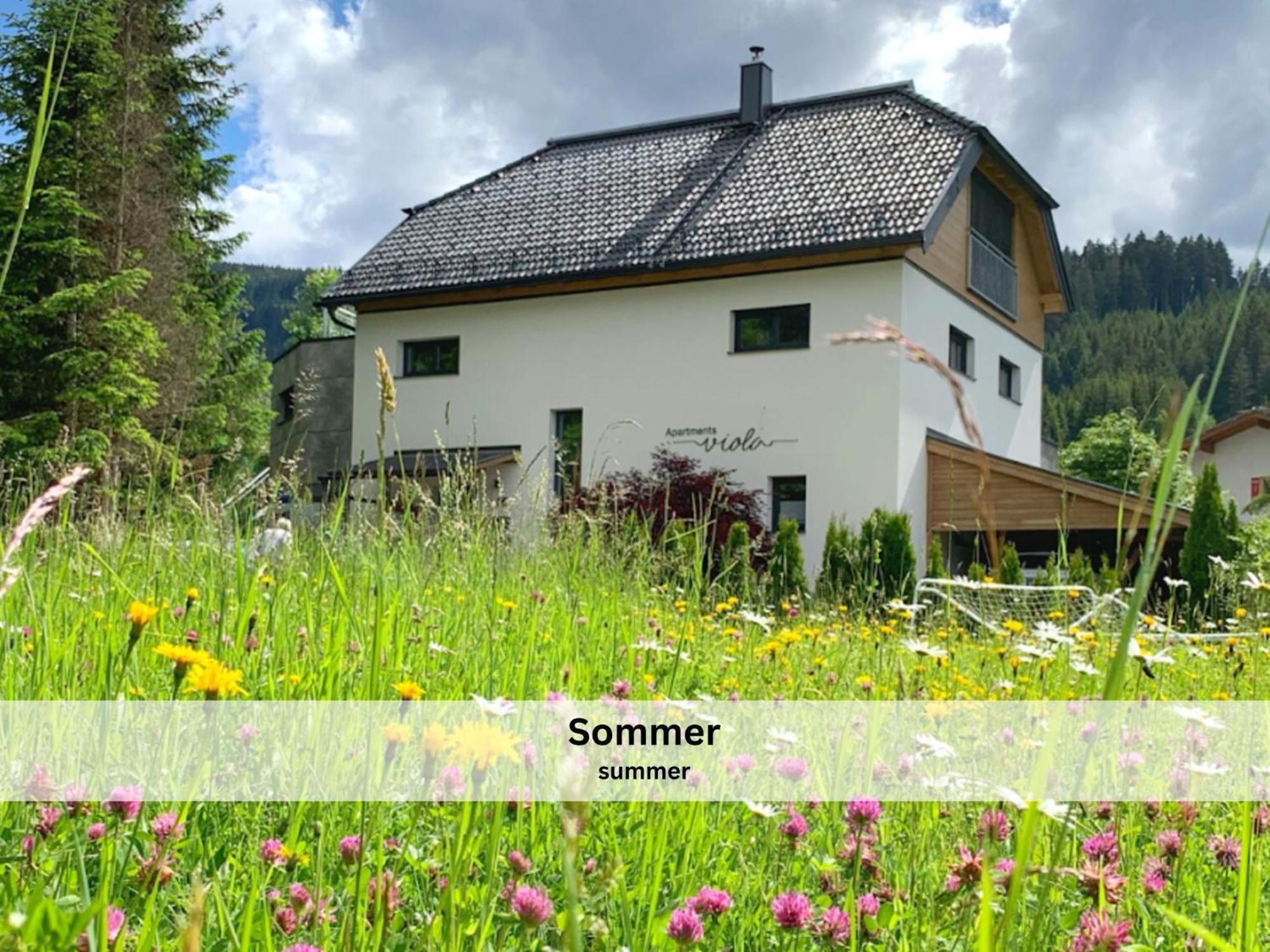 Apartments Viola Altenmarkt Альтенмаркт  Экстерьер фото